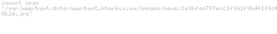 Der Spiegel:    -    