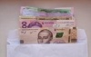 Рада поддержала введение компенсации за задержку пенсий и зарплат