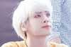       SHINee